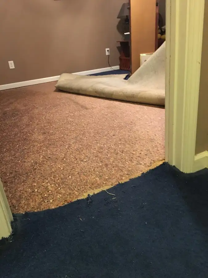 Carpet pad removal revealing water damage during Drying & Dehumidification in Gary