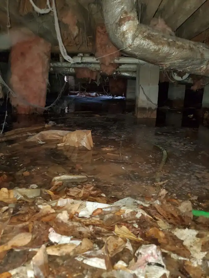Crawl space flood assessment for Leak Detection & Repair in Gary