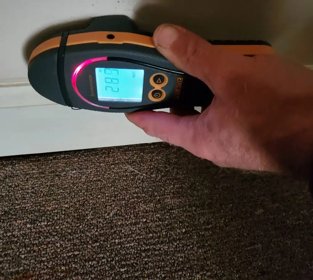 Moisture detection at baseboard during Mold Inspection & Testing in Gary